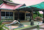 Turtle Information Centre
